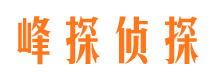 贡觉婚外情调查取证